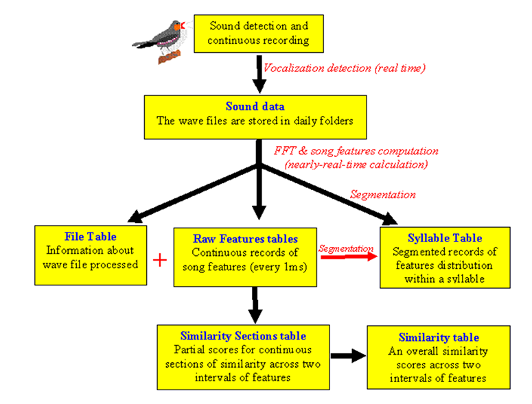 data_structure