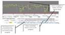 features_at_pointer