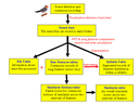 data_structure